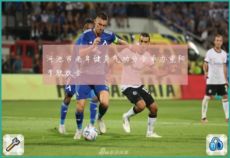 河池市老年健身气功分会举办重阳节联欢会