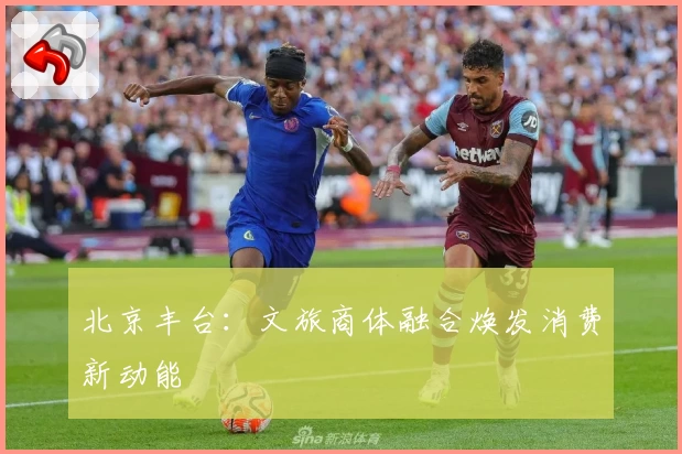 北京丰台：文旅商体融合焕发消费新动能