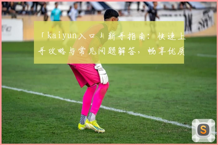 「kaiyun入口」新手指南：快速上手攻略与常见问题解答，畅享优质使用体验